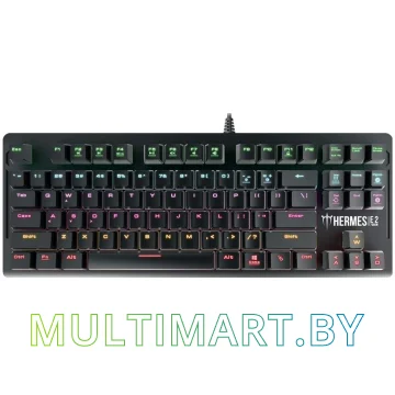 Клавиатура Gamdias Hermes E2 (Black Switches)